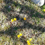 Krakowiak Extérieur