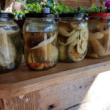 Manes Ziołowe Miejsce Jadło Z Pejzażem Bebida