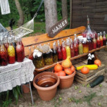 Manes Ziołowe Miejsce Jadło Z Pejzażem Bebida