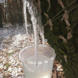 Manes Ziołowe Miejsce Jadło Z Pejzażem Bebida