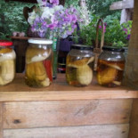 Manes Ziołowe Miejsce Jadło Z Pejzażem Bebida