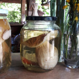 Manes Ziołowe Miejsce Jadło Z Pejzażem Bebida