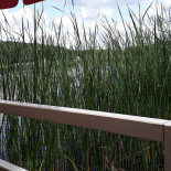 Pod Papugami Extérieur