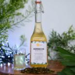Nowy Jantar Ośrodek Medycyny Naturalnej Posty Lecznicze Napój