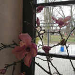 Gospoda Pod Lipką Bebida