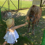 Zajazd Hubertus Boisson