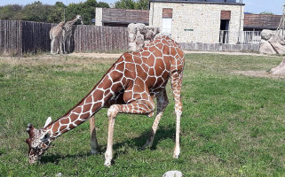 Da Grasso Extérieur