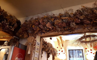 Gościniec Pod Lipą Extérieur