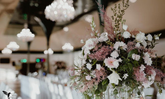 Vegasswesela.pl Bebida