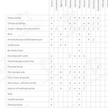 Karczma Zbójnicka Menu