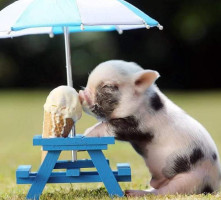 Restauracja Wip outside