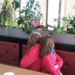 Pod Kogutkiem Extérieur