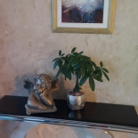 Pod Kogutkiem Boisson