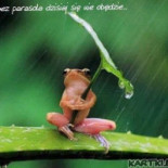 Country Grill Jerzykowo Boisson