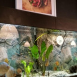 Texas Ryby I Pizza Exterior