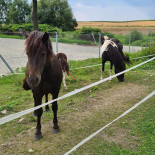 Łowisko Trzeboszowice Na zewnątrz