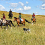 Farma Lama Tylicz Extérieur