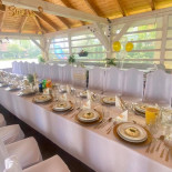 Polonez Dębica Dentro