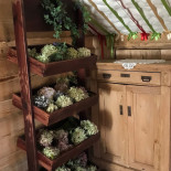 Polonez Dębica Dentro