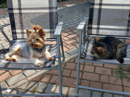 Zdrowo I Kolorowo Extérieur