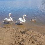 Bumerang Na zewnątrz