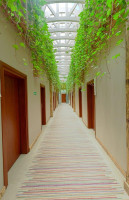 Młyn Jacka Exterior