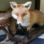 Bistro Sicienko À l'intérieur