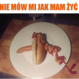 Foodtruck Hotdogarka Dania