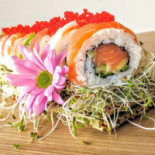Juto Sushi Dania