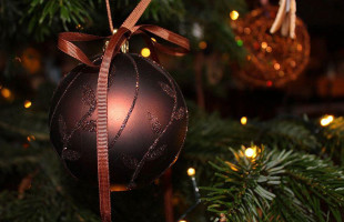 Obiekt Pttk Andrzejówka drink