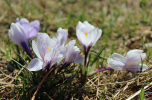 Obiekt Pttk Andrzejówka drink