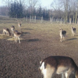 Tawerna Corso Na zewnątrz
