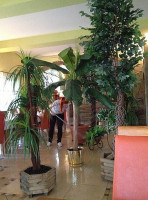 Goldfish Inn À l'intérieur