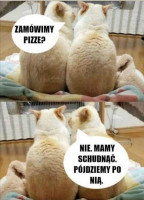 Pizzeria Zielona Maciej Flejtuch menu