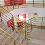 Amaryllis Extérieur