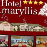 Amaryllis Extérieur