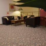 Amaryllis À l'intérieur