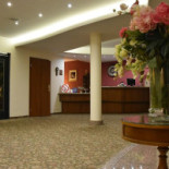 Amaryllis À l'intérieur