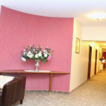 Amaryllis Extérieur