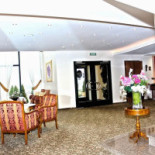 Amaryllis À l'intérieur