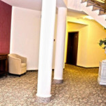 Amaryllis Extérieur