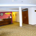 Amaryllis Extérieur