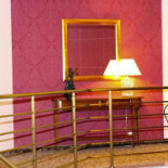 Amaryllis Extérieur