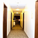 Amaryllis À l'intérieur