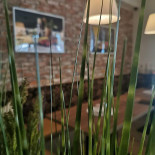 Café Pizza Italiana Napój