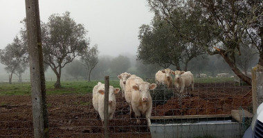 Jani Sushi Extérieur