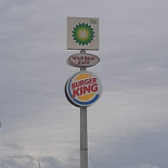 Bp Logo