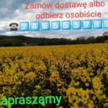Korona Śląska Na zewnątrz