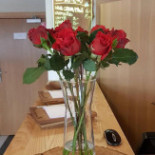 Barć Dębowa Bebida