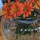 Barć Dębowa Bebida